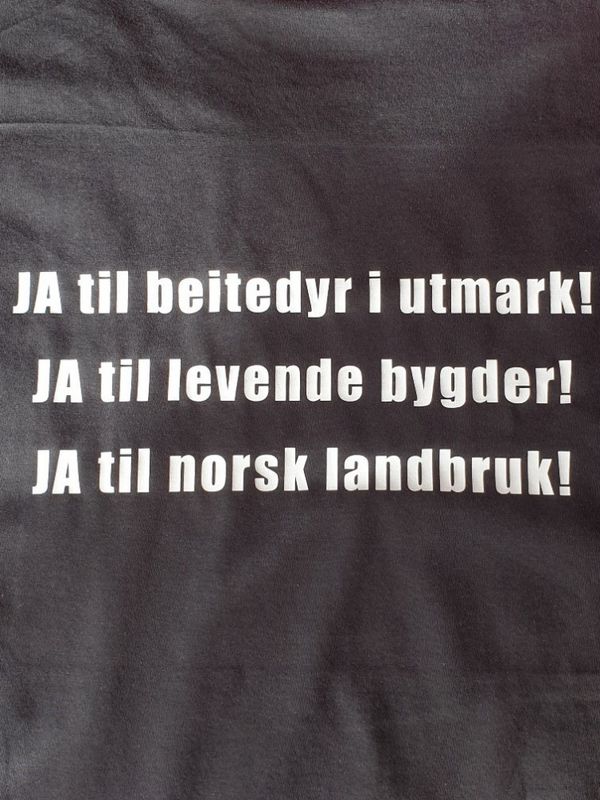 T-skjorte: En hyllest til reinen!