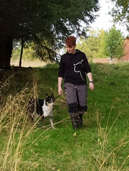 T-skjorte: En hyllest til sauen!